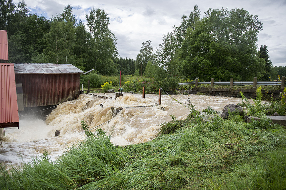 DAG_0674-ovarsvammning-dammdagsmedia.jpg