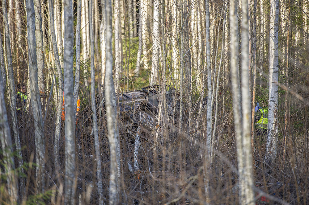 DSC_3274.jpg