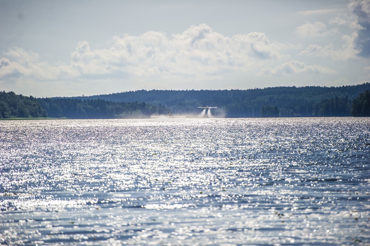 DSC_3096.jpg