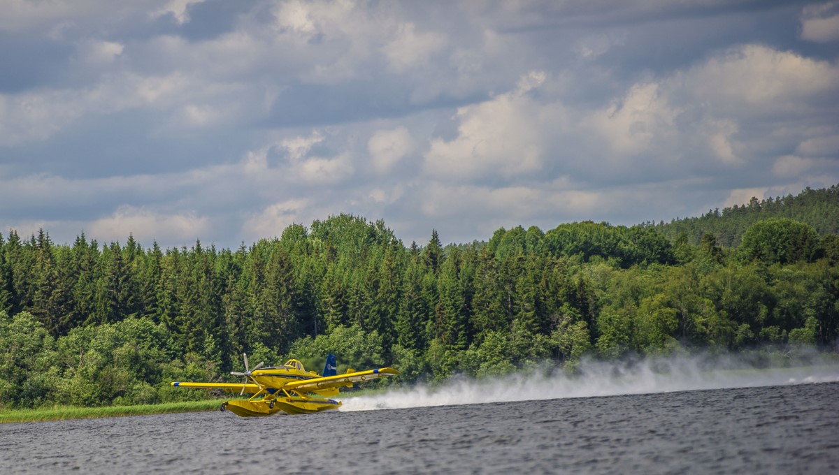 DSC_3268.jpg