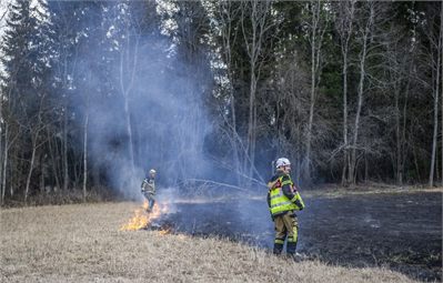 DSC_6313.jpg