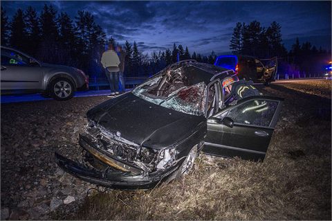 Kraftig krock med älg på riksväg 68 utanför Avesta- varning för starka bilder