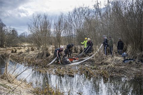 Häst gick ner sig i å utanför Hedemora