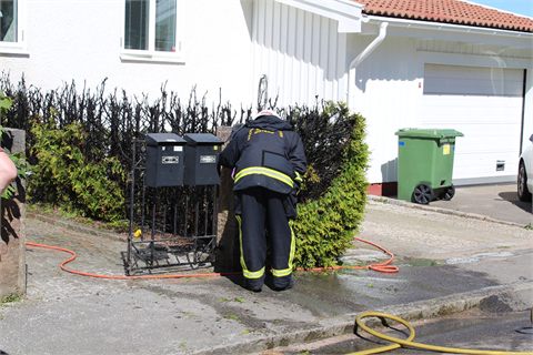 Brand i buskar riskerade att sprida sig