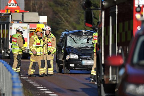 Älgolycka på riksväg 62 i Forshaga