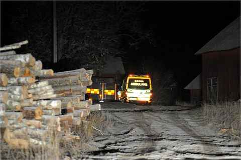 Äldre man hittad död i skogen- fick träd över sig