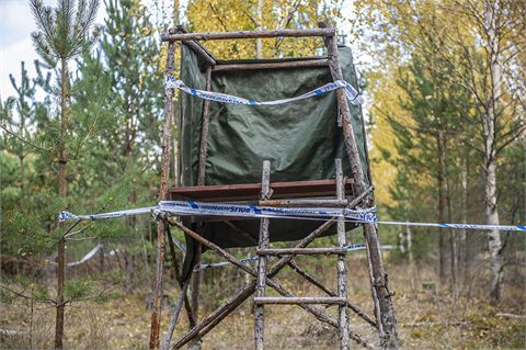 Man skjuten i magen i samband med älgjakt - svårt skadad
