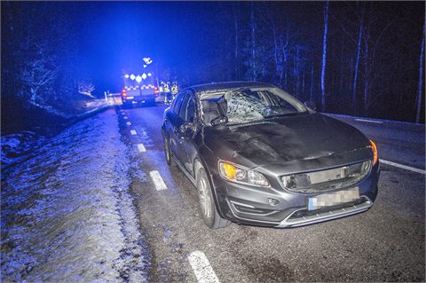 Älgolycka på väg 69 utanför Hedemora