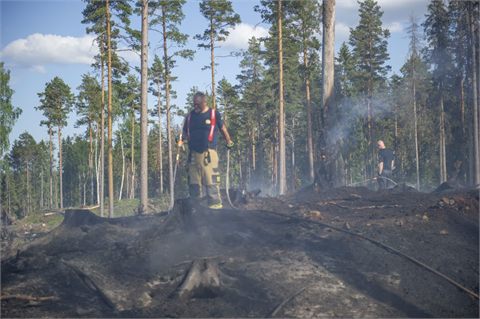 Brand på kalhygge väster om Sala
