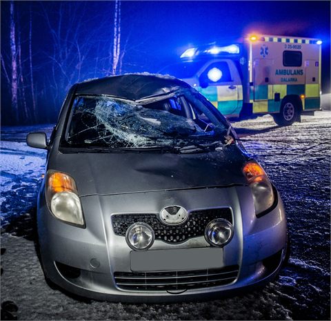 En till sjukhus efter älgolycka