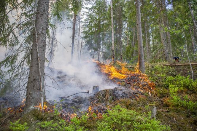 Skogsbrand vid Krutboberget i Krylbo