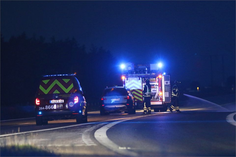 Bilist kolliderade med älg på E4 vid Åstorp